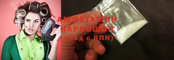 прущие грибы Краснослободск