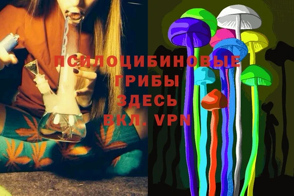 спиды Алексин