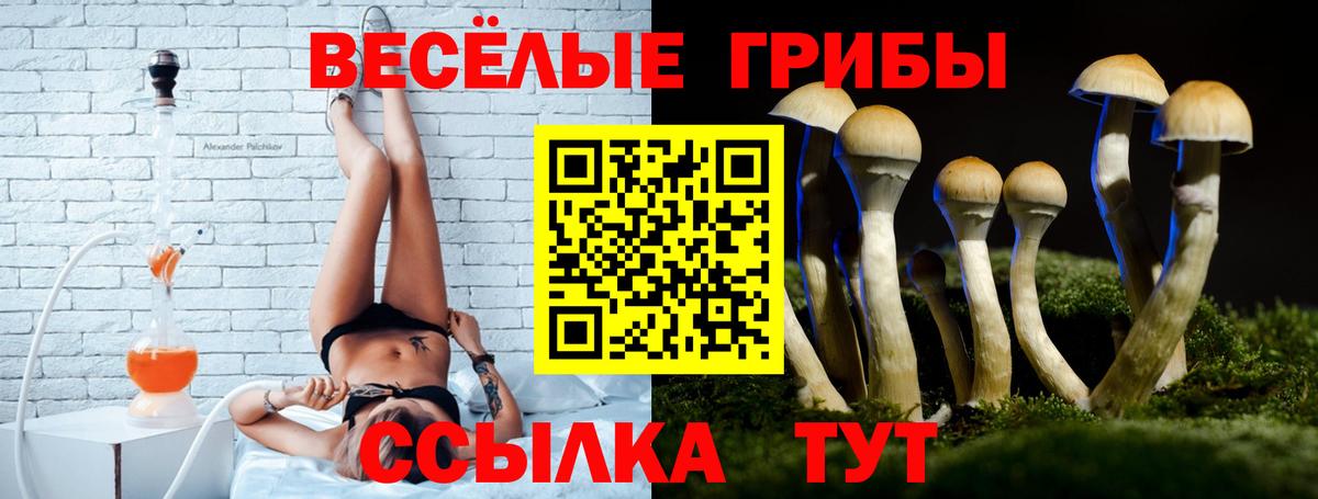 Псилоцибиновые грибы прущие грибы Сибай