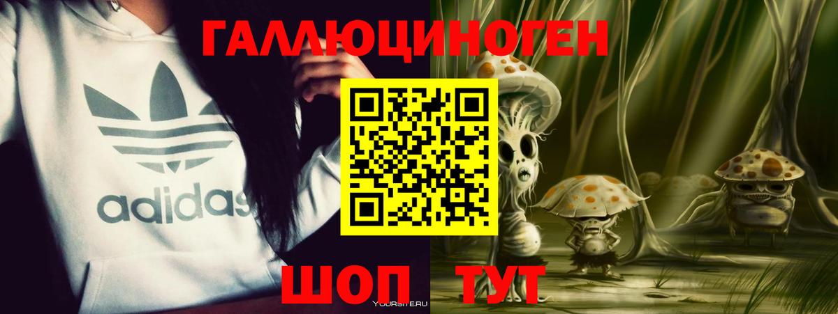 Псилоцибиновые грибы прущие грибы  Вход с VPN  Сибай 